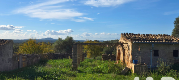 14125m² Land in Santa Margalida, Spain No. 292343 5