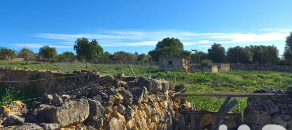 14125m² Land in Santa Margalida, Spain No. 292343 20