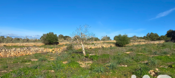 14125m² Land in Santa Margalida, Spain No. 292343 27