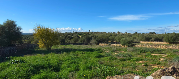 14125m² Land in Santa Margalida, Spain No. 292343 30
