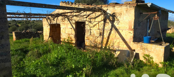 14125m² Land in Santa Margalida, Spain No. 292343 8