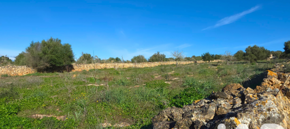 14125m² Land in Santa Margalida, Spain No. 292343 22