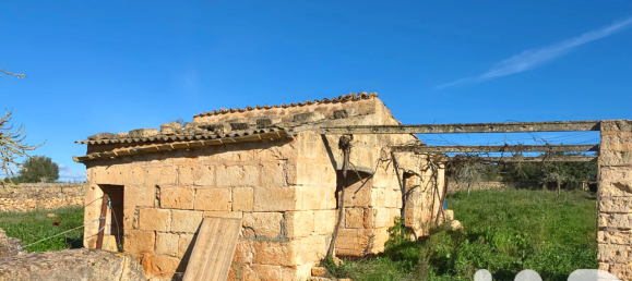 14125m² Land in Santa Margalida, Spain No. 292343 11