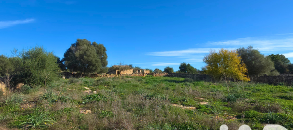14125m² Land in Santa Margalida, Spain No. 292343 21