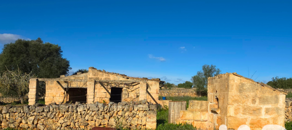 14125m² Land in Santa Margalida, Spain No. 292343 15