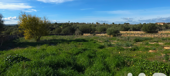 14125m² Land in Santa Margalida, Spain No. 292343 19