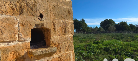 14125m² Land in Santa Margalida, Spain No. 292343 2