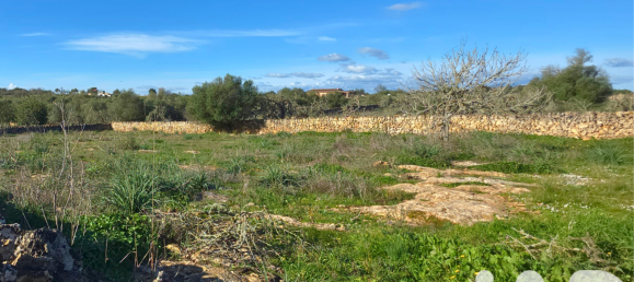 14125m² Land in Santa Margalida, Spain No. 292343 29