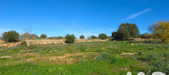 14125m² Land in Santa Margalida, Spain No. 292343 24