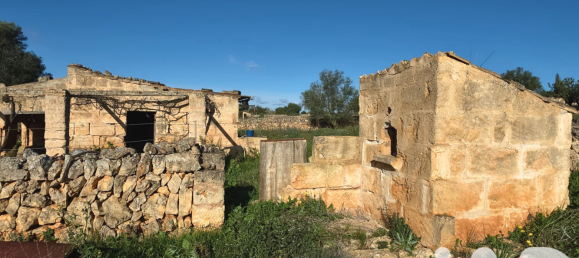 14125m² Land in Santa Margalida, Spain No. 292343 13