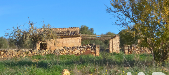 14125m² Land in Santa Margalida, Spain No. 292343 18