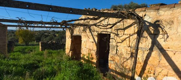 14125m² Land in Santa Margalida, Spain No. 292343 7