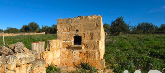 14125m² Land in Santa Margalida, Spain No. 292343 16