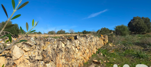 14125m² Land in Santa Margalida, Spain No. 292343 23