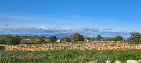 14125m² Land in Santa Margalida, Spain No. 292343 4