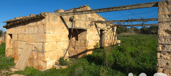 14125m² Land in Santa Margalida, Spain No. 292343 12