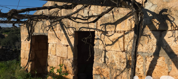 14125m² Land in Santa Margalida, Spain No. 292343 9