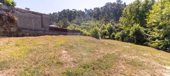 3 Schlafzimmer Haus in Paredes, Portugal, Nr. 223159 13