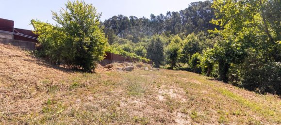 3 Schlafzimmer Haus in Paredes, Portugal, Nr. 223159 14