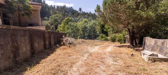 3 Schlafzimmer Haus in Paredes, Portugal, Nr. 223159 11