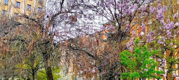 2-Zimmer Wohnung in Milan, Italy, Nr. 338112 18