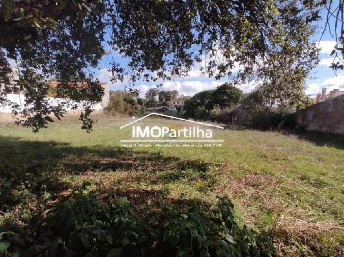  قطعة أرض في Sintra, Portugal رقم 8858