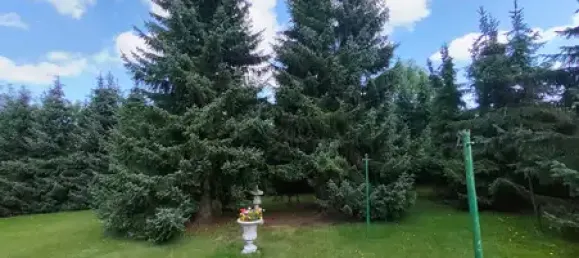 10-salle Maison de ville à Hof, Germany No. 145348 6