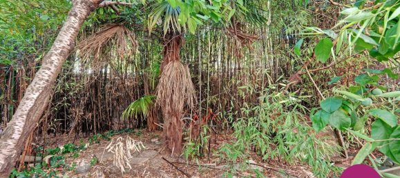 2 Schlafzimmer Haus in Champigny-sur-Marne, France, Nr. 293006 2