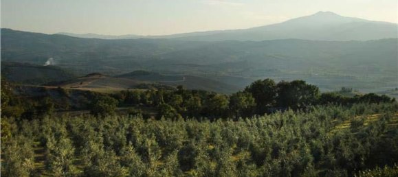 5 rooms House in Pienza, Italy No. 173797 19