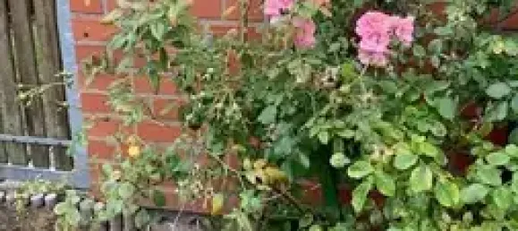 Таунхаус с 2 спальнями в Пригниц, Германия № 360032 16