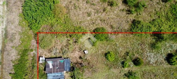 1 room Land in San Giuliano Terme, Italy No. 293768 2