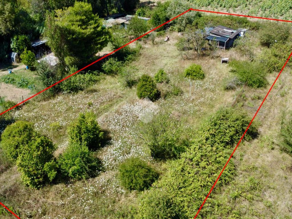 1 room Land in San Giuliano Terme, Italy No. 293768