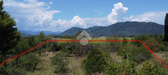 1 room Land in San Giuliano Terme, Italy No. 293768 5