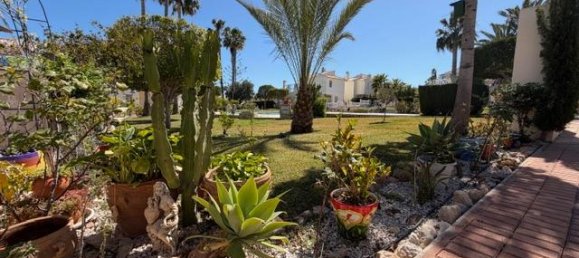 Bungalow T1 em Torrevieja, Spain N.º 369987 6