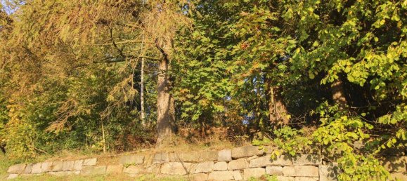 Terreno en Sachsische Schweiz-Osterzgebirge, Germany No. 323200 3