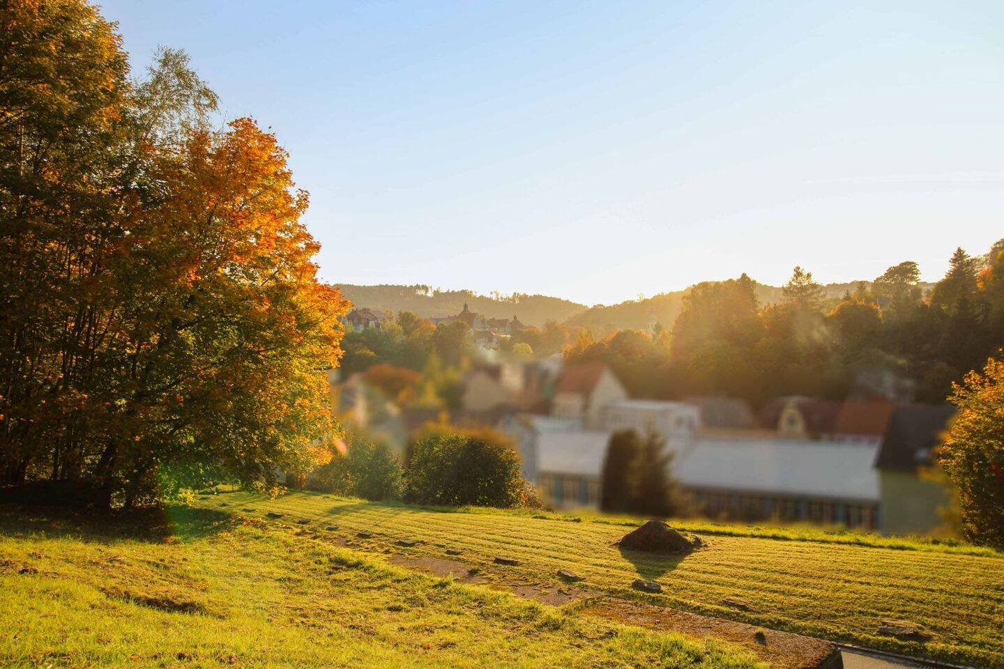 Terreno en Sachsische Schweiz-Osterzgebirge, Germany No. 323200