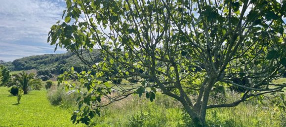 5 Schlafzimmer Haus in Cantabria, Spain, Nr. 150186 28