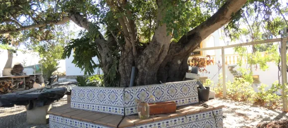 4 غرف نوم فيلا في Albufeira, Portugal رقم 131796 31