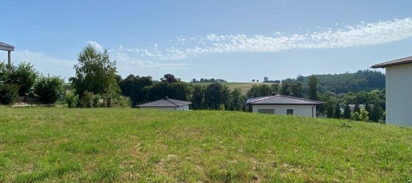 Terrain à Grieskirchen, Austria 1003m² No. 195981 2