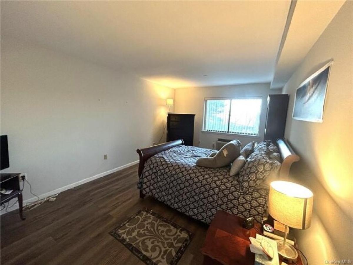 Studio in White Plains, USA No. 393647