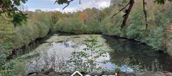 5 chambres Maison à Souesmes, France No. 158527 18