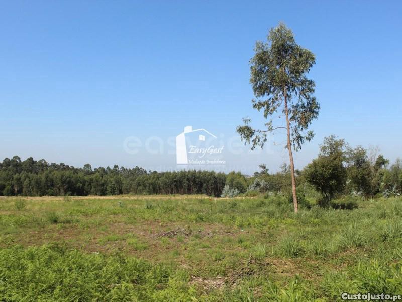 4513m² Land in Rio Meao, Portugal No. 97257