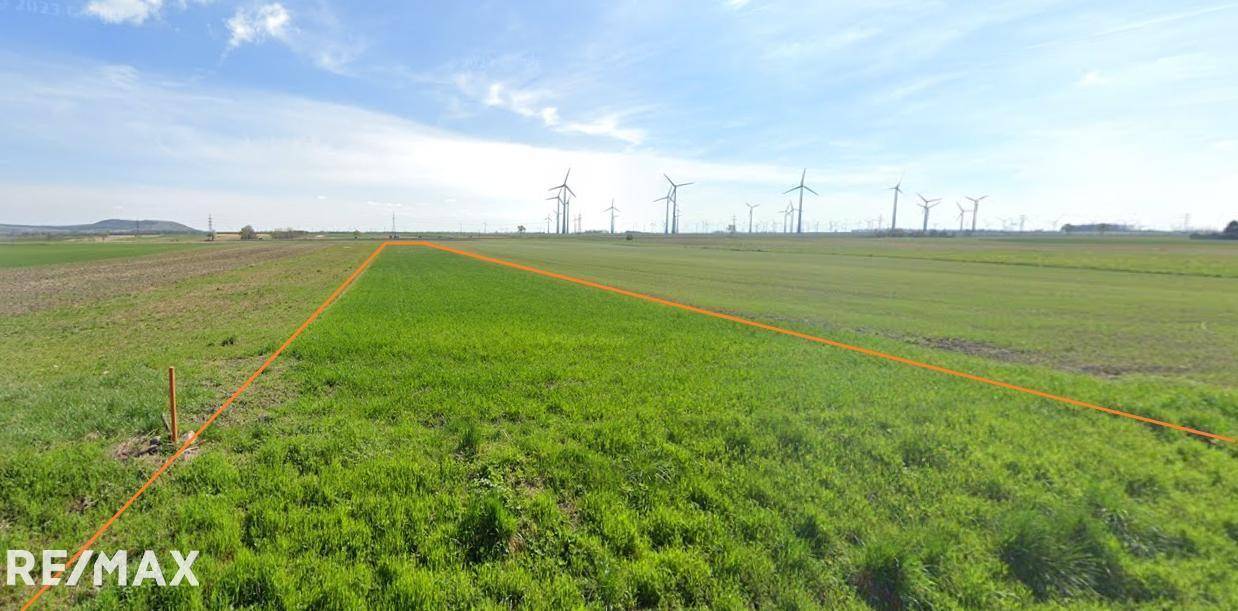 Земельный участок 19048м² в Петронелль-Карнунтум, Австрия № 145632