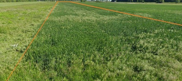 Земельный участок 19048м² в Петронелль-Карнунтум, Австрия № 145632 2