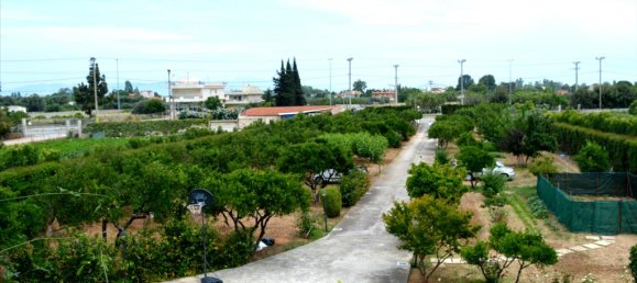 3 bedrooms Commercial property in Marathon, Greece No. 6247 18