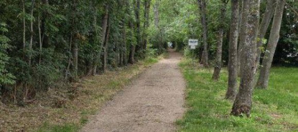 2 bedrooms Apartment in Maria Enzersdorf, Austria No. 217871 26