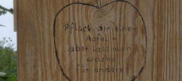 2 bedrooms Apartment in Maria Enzersdorf, Austria No. 217871 33