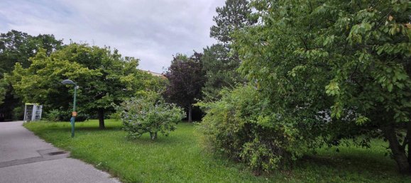 2 bedrooms Apartment in Maria Enzersdorf, Austria No. 217871 25