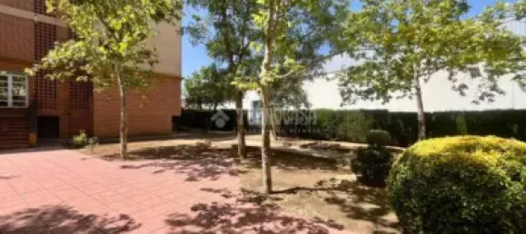 3 bedrooms Apartment in Valdepenas, Spain No. 184177 16