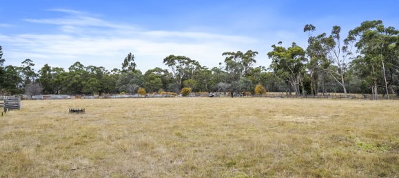 14164m² Land in Triabunna, Australia No. 296 3